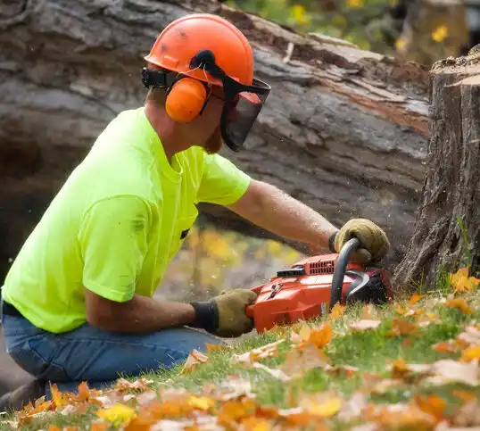 tree services Sea Breeze